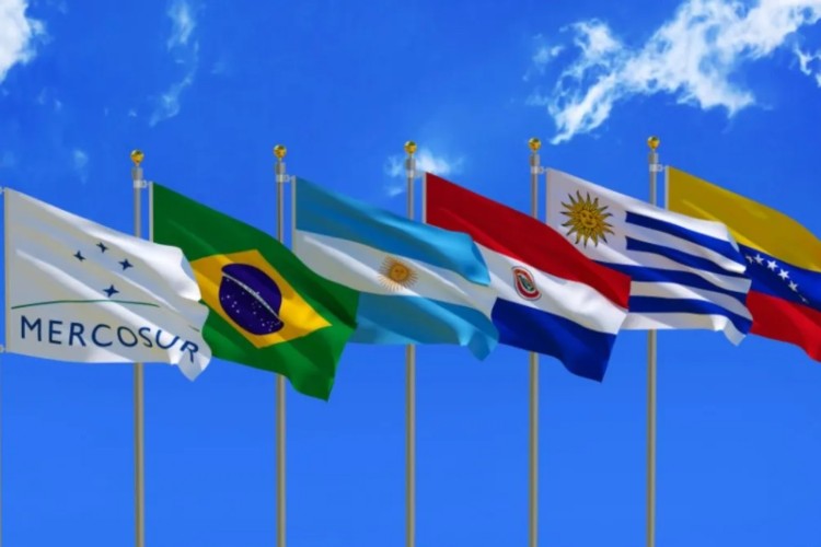imagen Banderas flameando del Mercosur