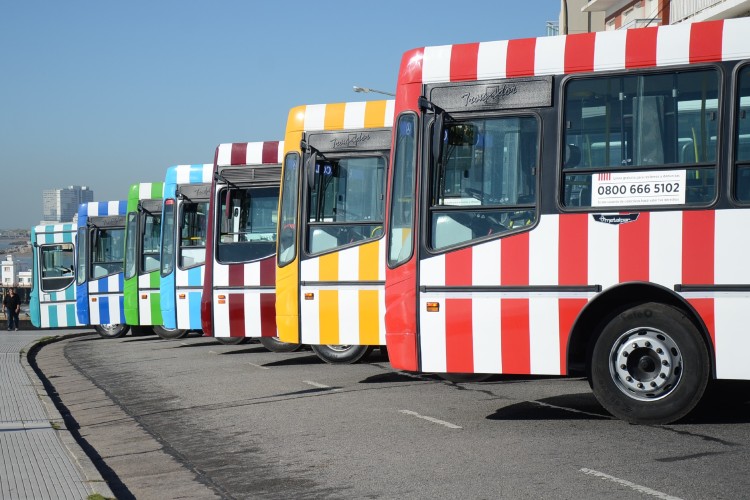 Colectivos frente a la costa de mar del plata